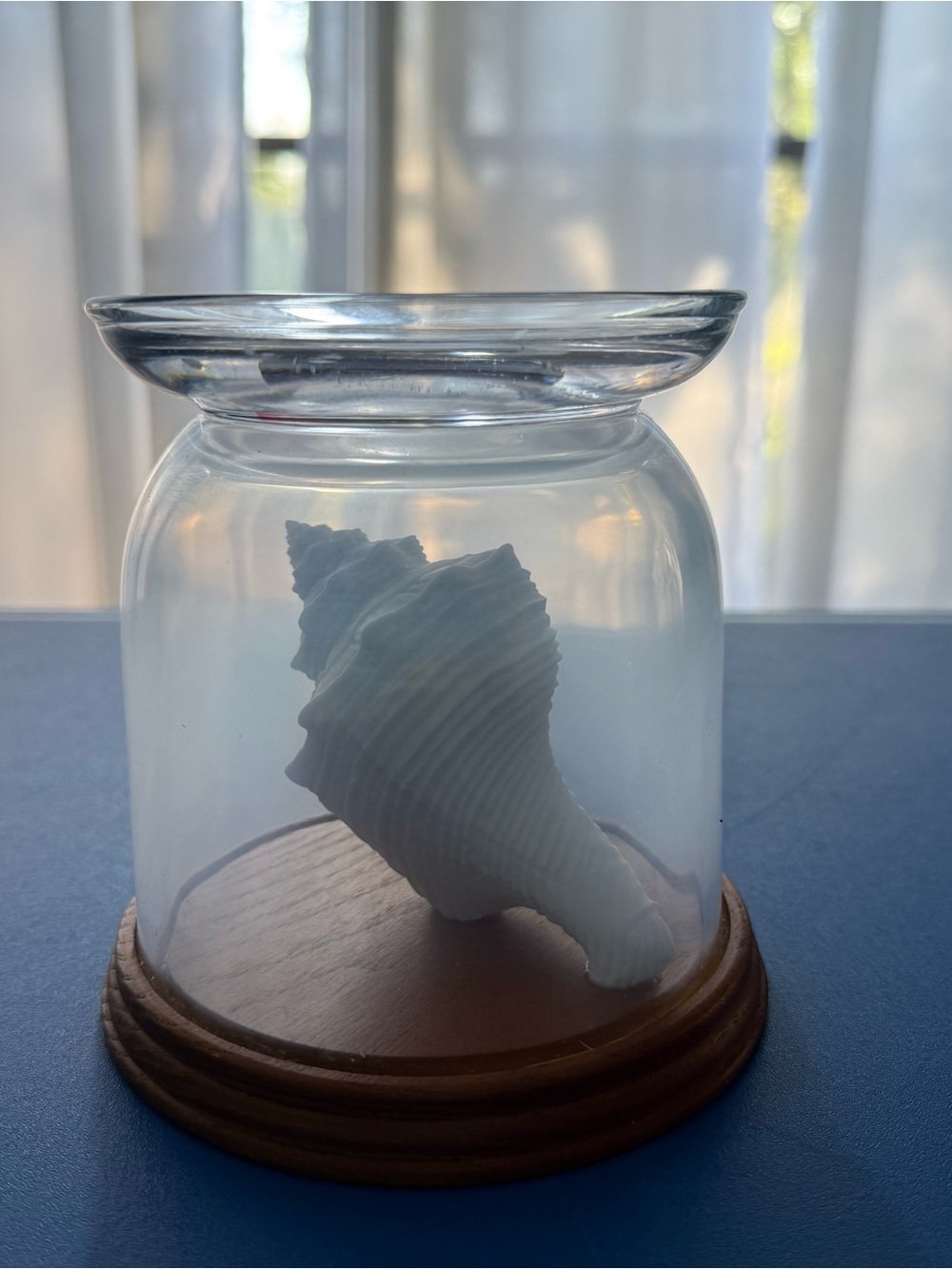 Clear Glass Candleholder with Wooden Base and White Shell Accent